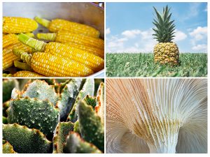 Synthetic leather alternatives material