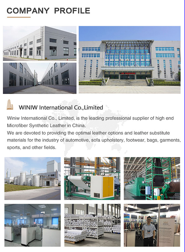 WINIW Company Profile